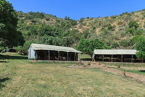 The Nubian in the Mara