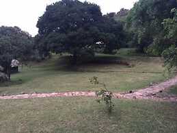 The Nubian in the Mara