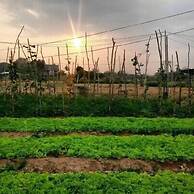 Wangnamkam Riverside Resort