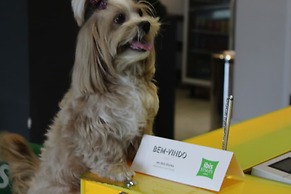 Ibis Styles Boa Vista