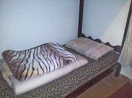 Tiger House Guesthouse