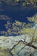 Hilton Jiuzhaigou Resort