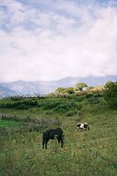 Hilton Jiuzhaigou Resort