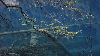 Hilton Jiuzhaigou Resort