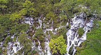 Hilton Jiuzhaigou Resort