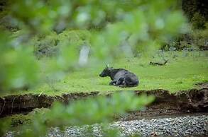 Hilton Jiuzhaigou Resort