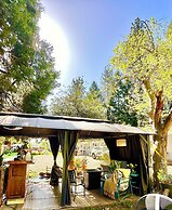 The Pines Inn and Cottages