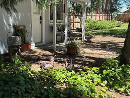 The Pines Inn and Cottages