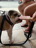 The Pines Inn and Cottages