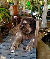 The Pines Inn and Cottages