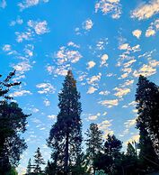 The Pines Inn and Cottages