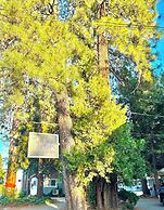 The Pines Inn and Cottages