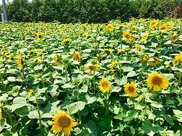 Country Cottage Wakiaiai