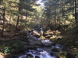 Shivadya - A Boutique Hotel