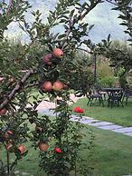 Shivadya - A Boutique Hotel