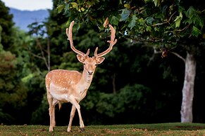 Lookout Mountain Retreat
