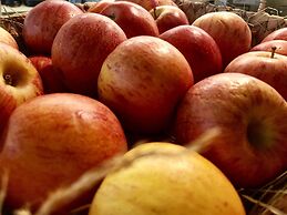 Townhouse Boutique Hotel