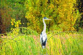 San Francisco Lodge Spa