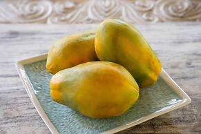 Aestus Villas Resort