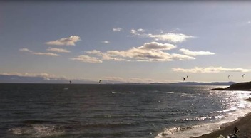 Dashwood Manor Seaside Bed & Breakfast