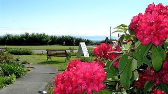 Dashwood Manor Seaside Bed & Breakfast