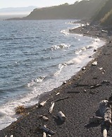 Dashwood Manor Seaside Bed & Breakfast