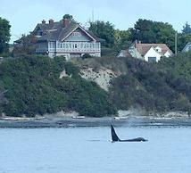 Dashwood Manor Seaside Bed & Breakfast