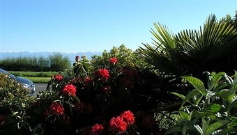 Dashwood Manor Seaside Bed & Breakfast