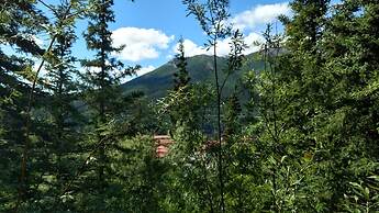 Denali Crow's Nest Cabins