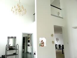 Lush & Co Auckland Bed & Breakfast