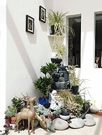 Lush & Co Auckland Bed & Breakfast