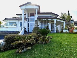 Lush & Co Auckland Bed & Breakfast