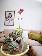 Lush & Co Auckland Bed & Breakfast