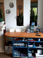 Lush & Co Auckland Bed & Breakfast