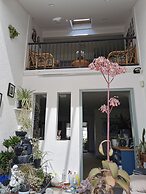 Lush & Co Auckland Bed & Breakfast