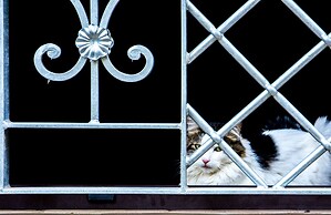 Le Colline del Gelso