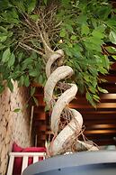 Albergue Compostela - Hostel