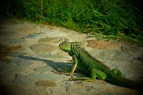 Canadian Resorts Nuevo Vallarta