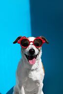 Atlantic Oceanside Dewey