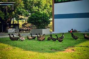 Wanlapa Farmstay