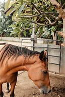 Mandala Desa Boutique Resort