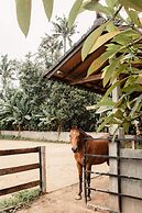 Mandala Desa Boutique Resort