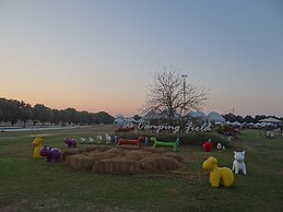 The Camping Field