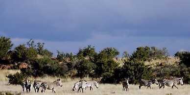 Otterskloof Private Game Reserve