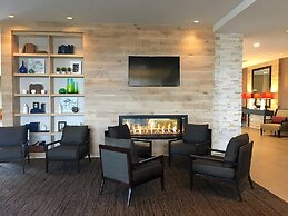 SunCoast Park Hotel Anaheim Resort, Tapestry by Hilton