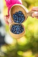 Storsätra Fjällhotell