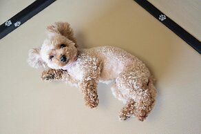 Hamanako Wanwan Paradise Hotel