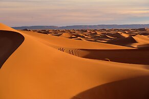 Bivouac Draa - Nuit dans le désert