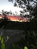 Agriturismo Bio Il Quarto