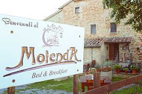 B&B Molenda
